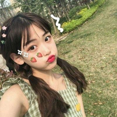 狗岛的宝藏
